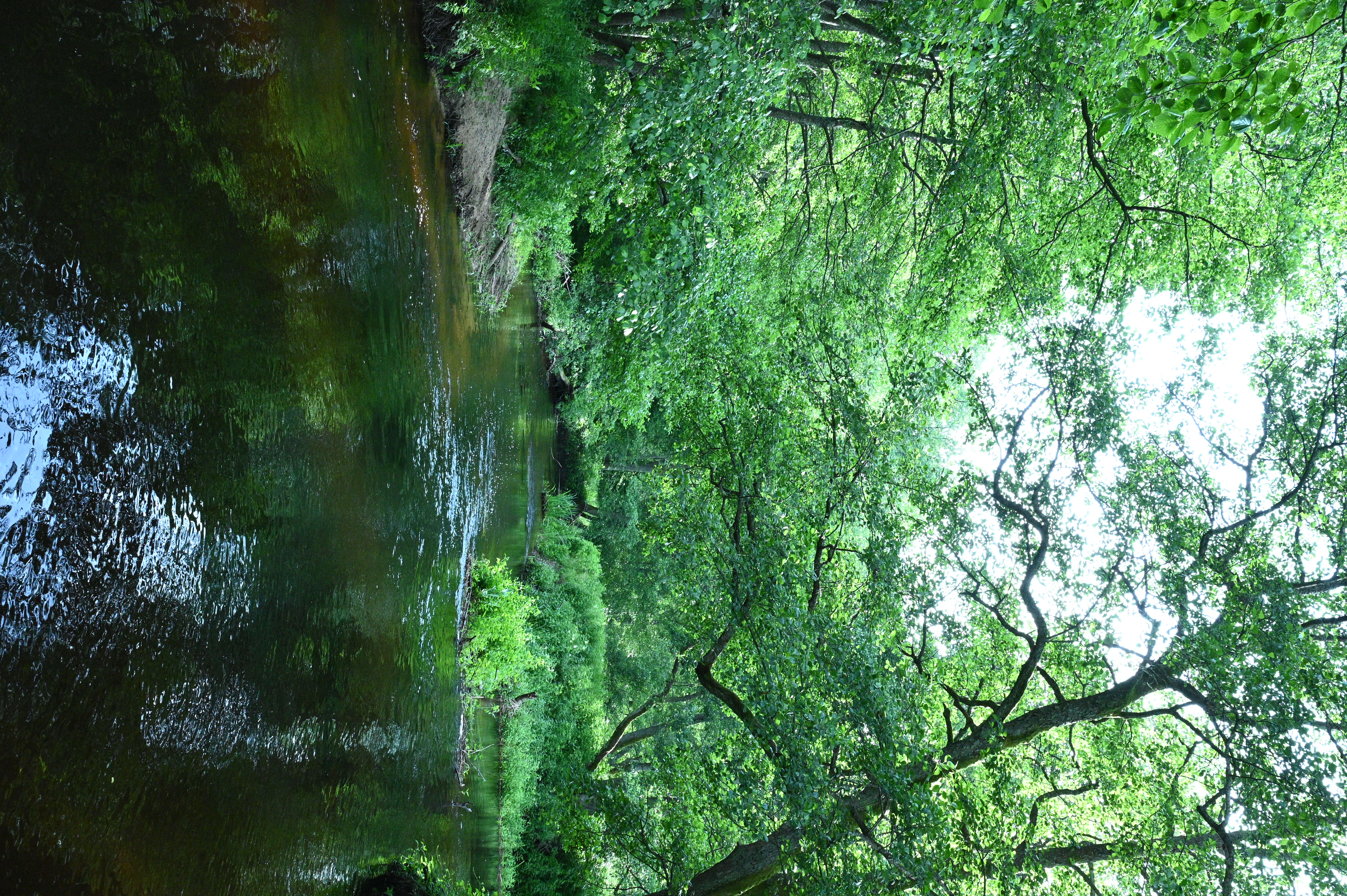 2025/07/09-14 - trip/DSC_0047.JPG